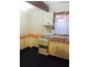 28 Park Avenue, Ashfield NSW 2131