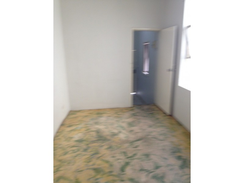 Flat 1/19-21 Hercules, Ashfield NSW 2131