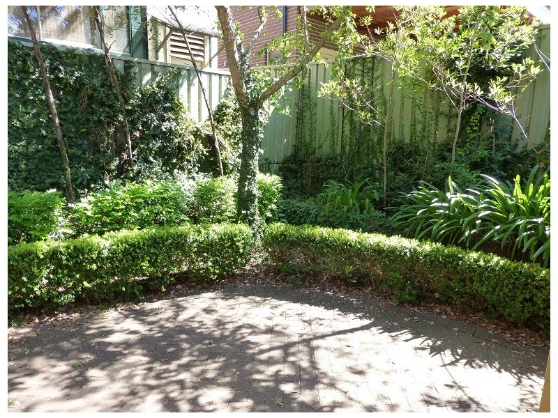 29 Orchard Street, Croydon NSW 2132