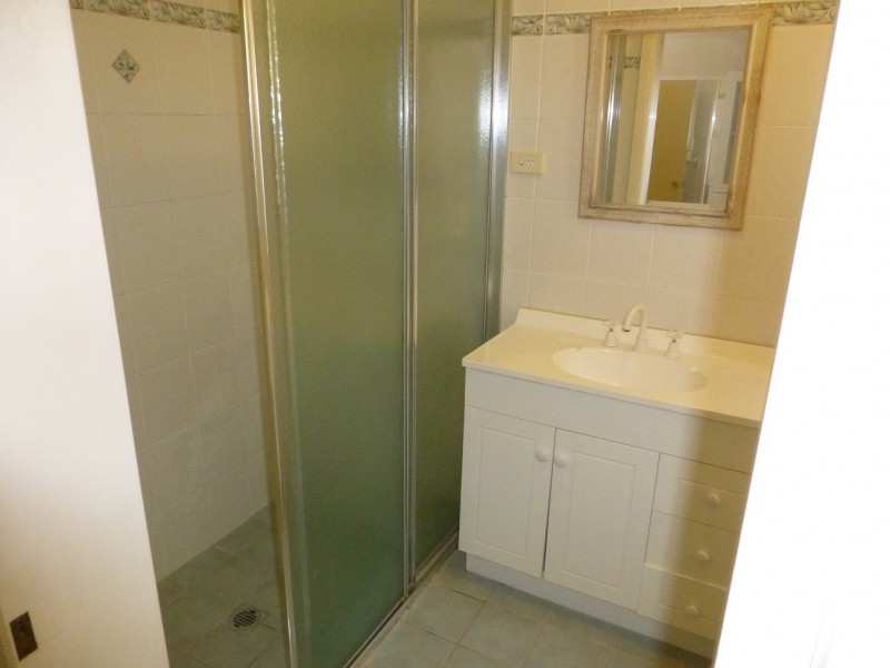 29 Orchard Street, Croydon NSW 2132