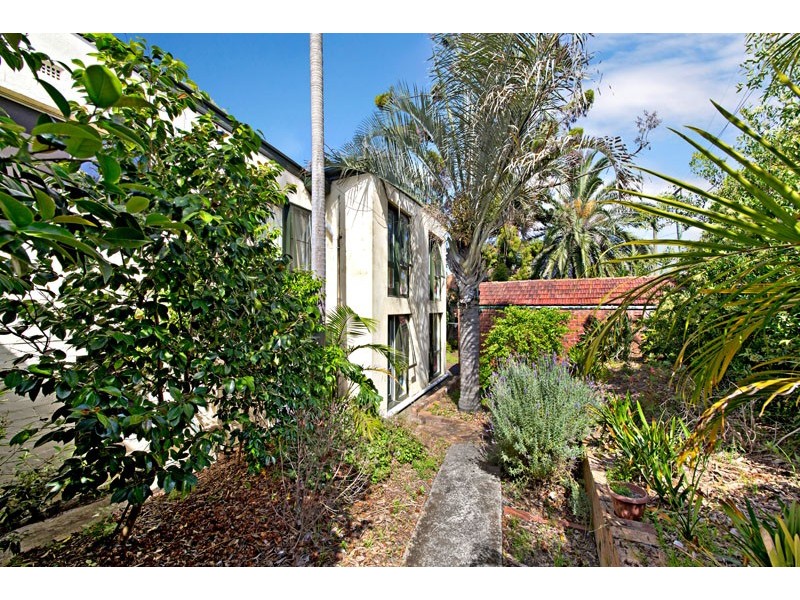 55 Windsor Road, Dulwich Hill NSW 2203