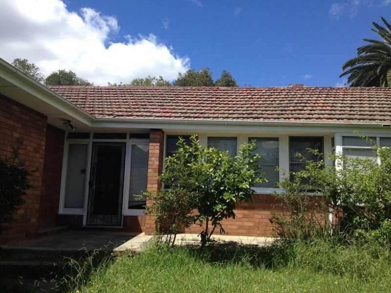 20 Wyalong Street, Burwood NSW 2134