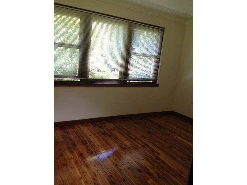 20 Wyalong Street, Burwood NSW 2134