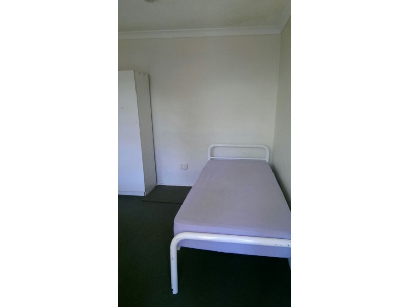 67 Alt Street, Ashfield NSW 2131