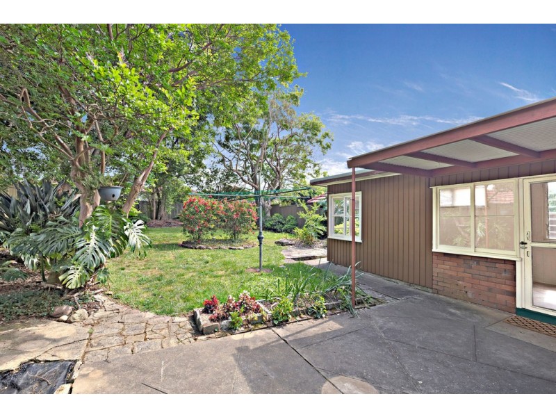 81 Davidson Avenue, Concord NSW 2137