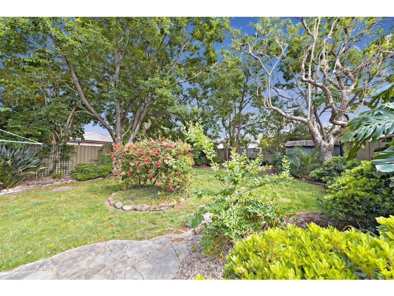 81 Davidson Avenue, Concord NSW 2137