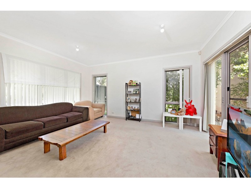 16 Theile Avenue, Newington NSW 2127