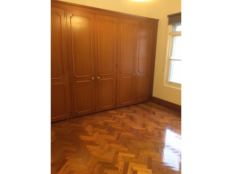 5 Oxford Road, Strathfield NSW 2135