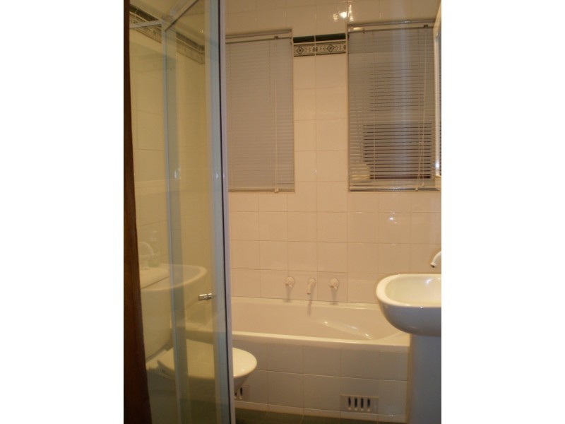 163 Croydon Avenue, Croydon Park NSW 2133