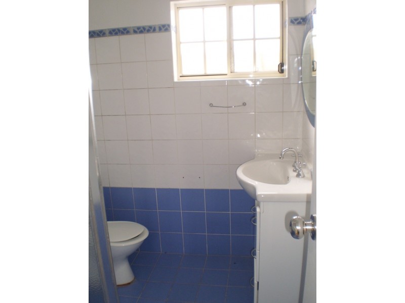 13A  Crieff Street, Ashbury NSW 2193