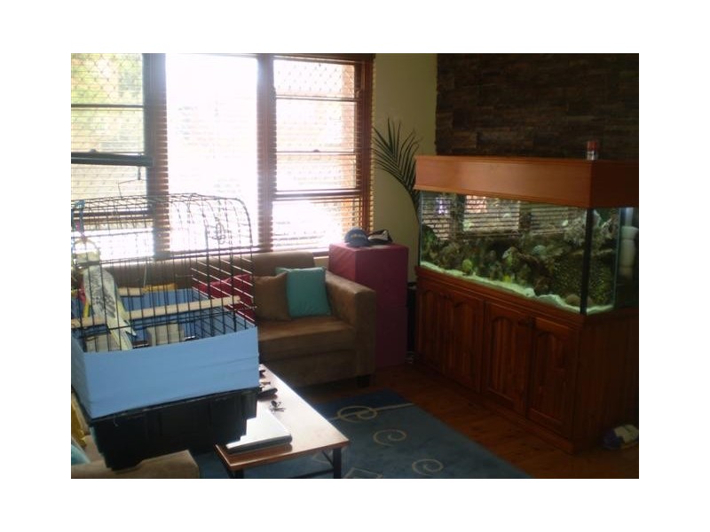 8/15 Anderson Street, Belmore NSW 2192