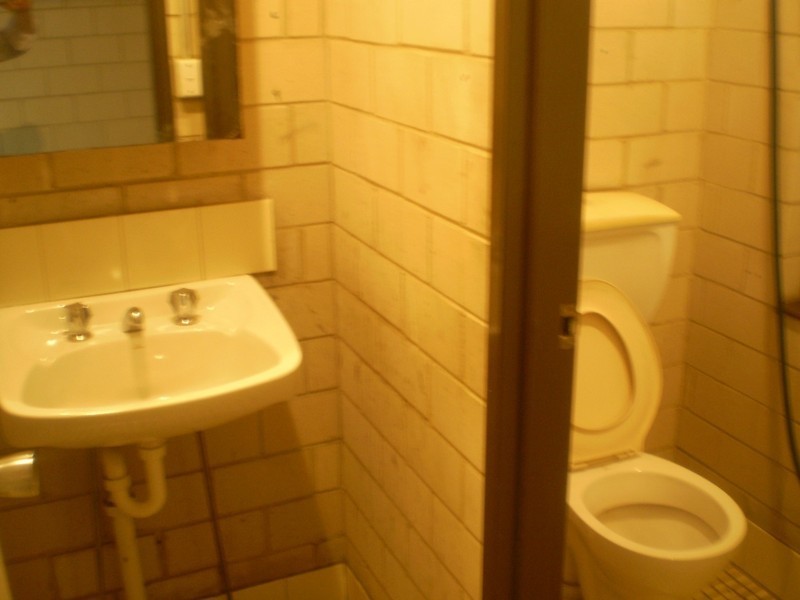 10/117 Punchbowl Rd, Belfield NSW 2191