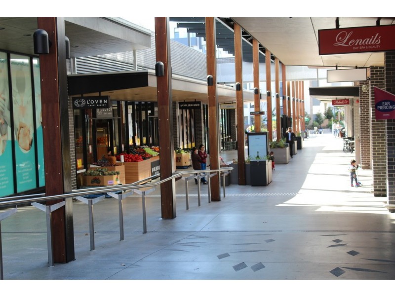 509/50 Charlotte Street, Clemton Park NSW 2206