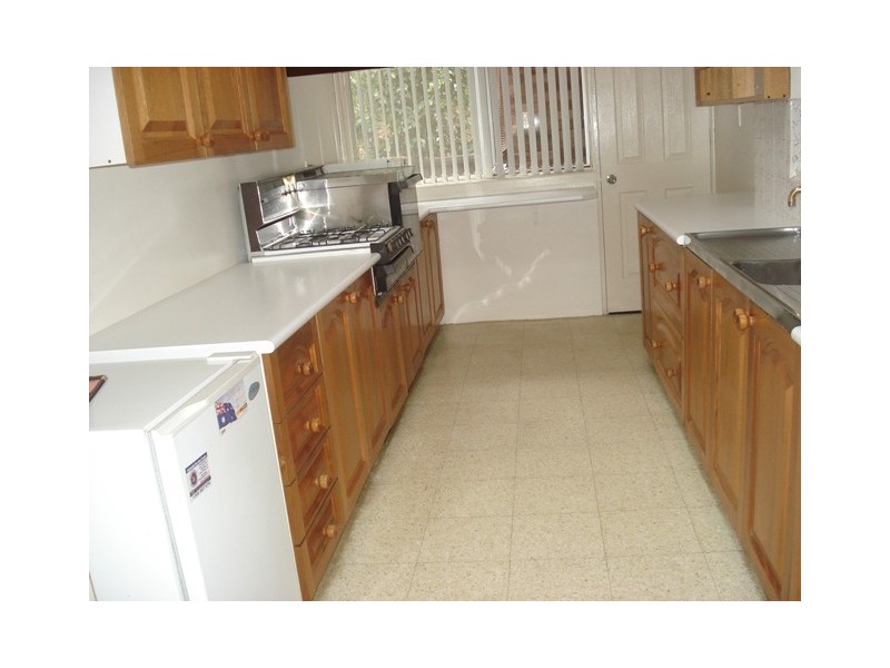 20 Margaret Street, Kingsgrove NSW 2208