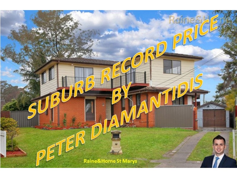 9 Wallis Place, Willmot NSW 2770