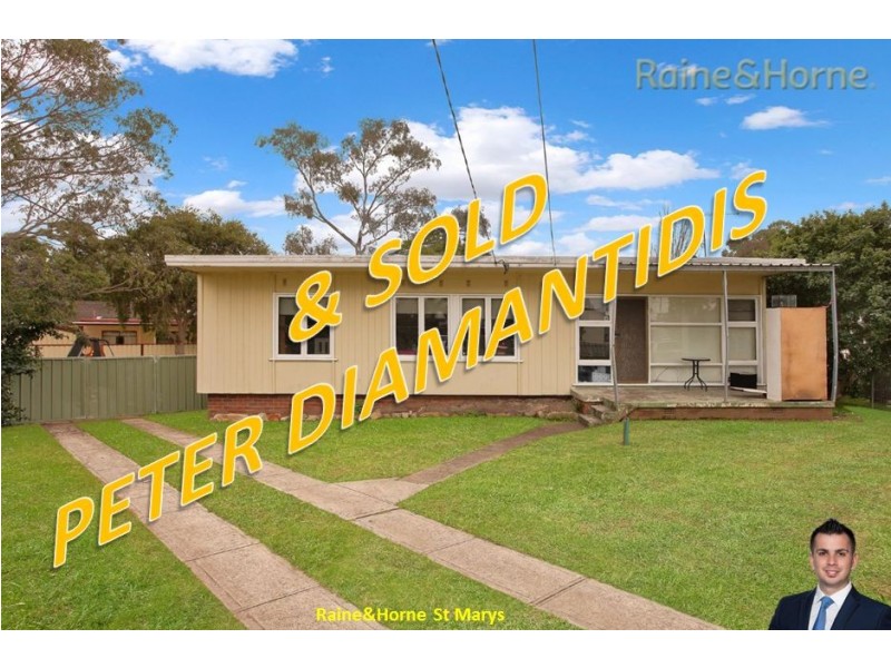 6 Antill Place, Blackett NSW 2770