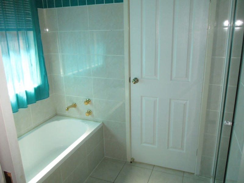 48 Alicante Street, Minchinbury NSW 2770