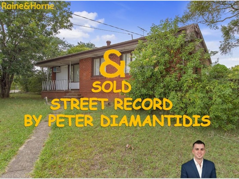 9 PARKES CRESCENT, Blackett NSW 2770