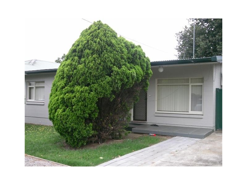 Mount Druitt NSW 2770