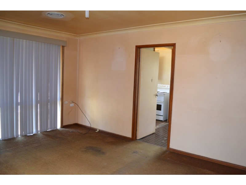 166 Carlisle Avenue, Blackett NSW 2770