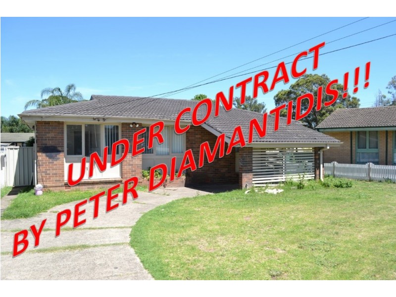 17 Siandra Avenue, Shalvey NSW 2770