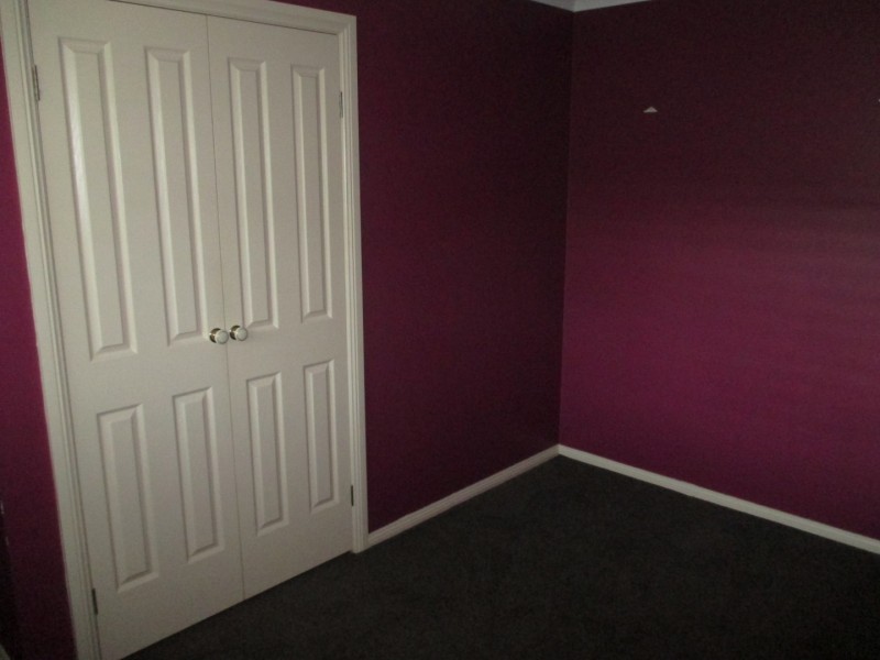 17 Aldebaran Street, Cranebrook NSW 2749