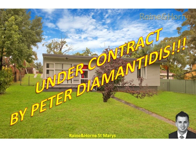 13 Dampier Place, Whalan NSW 2770