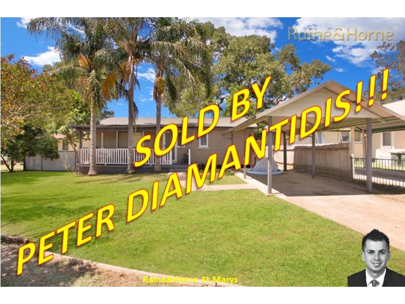 24 Capparis Circuit, Bidwill NSW 2770