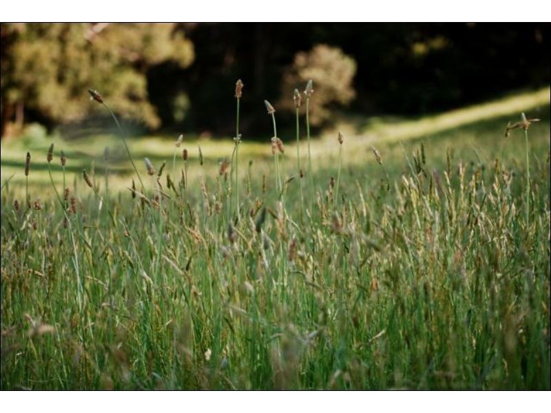 LOTS1, 2,  3 Wirraway Estate, Lithgow NSW 2790