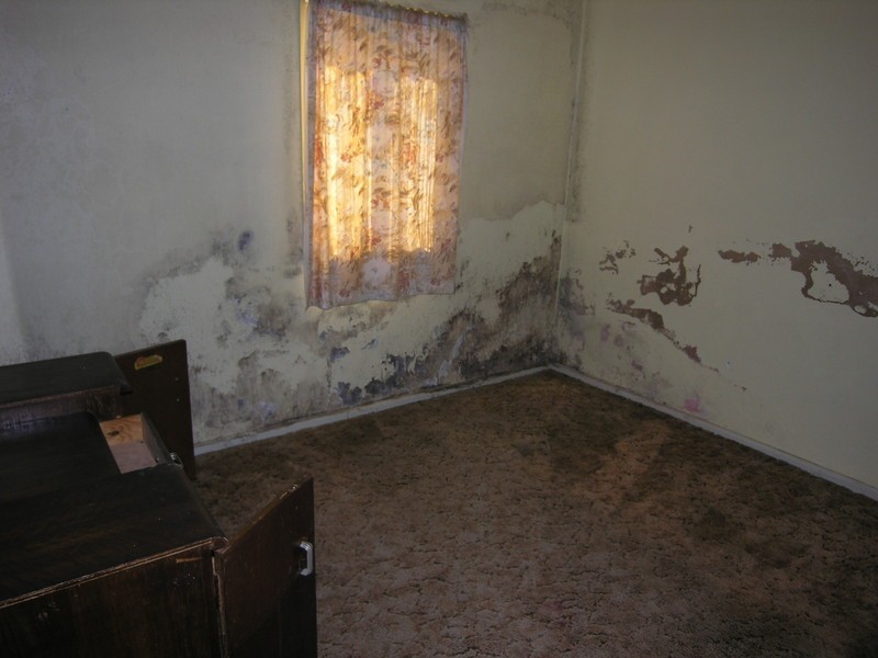 89 HARTLEY VALLEY ROAD, Lithgow NSW 2790