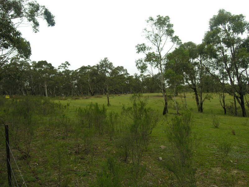 LOT 255 Cartwright Street, Rydal NSW 2790