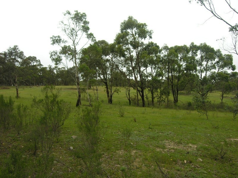 LOT 255 Cartwright Street, Rydal NSW 2790