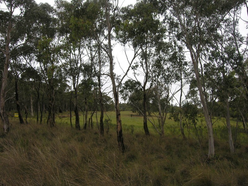LOT 255 Cartwright Street, Rydal NSW 2790