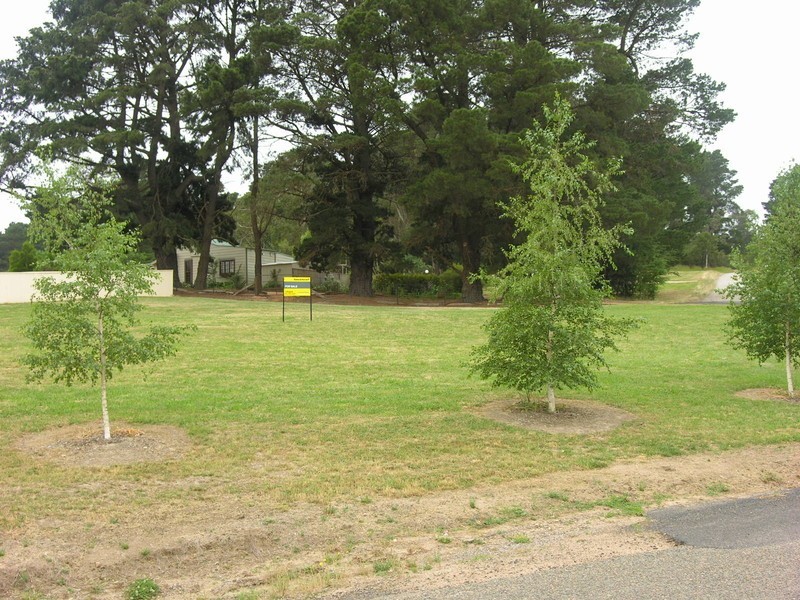 LOT 10 Bathurst Street, Rydal NSW 2790