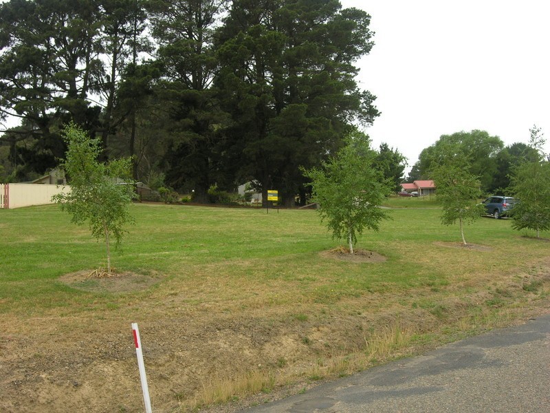 LOT 10 Bathurst Street, Rydal NSW 2790