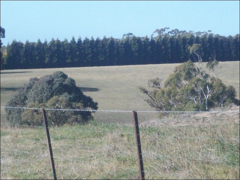 lot 23 Ellen Close, Portland NSW 2847