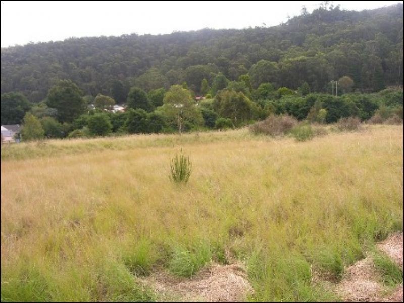 Lot 152 Macauley Street, Lithgow NSW 2790