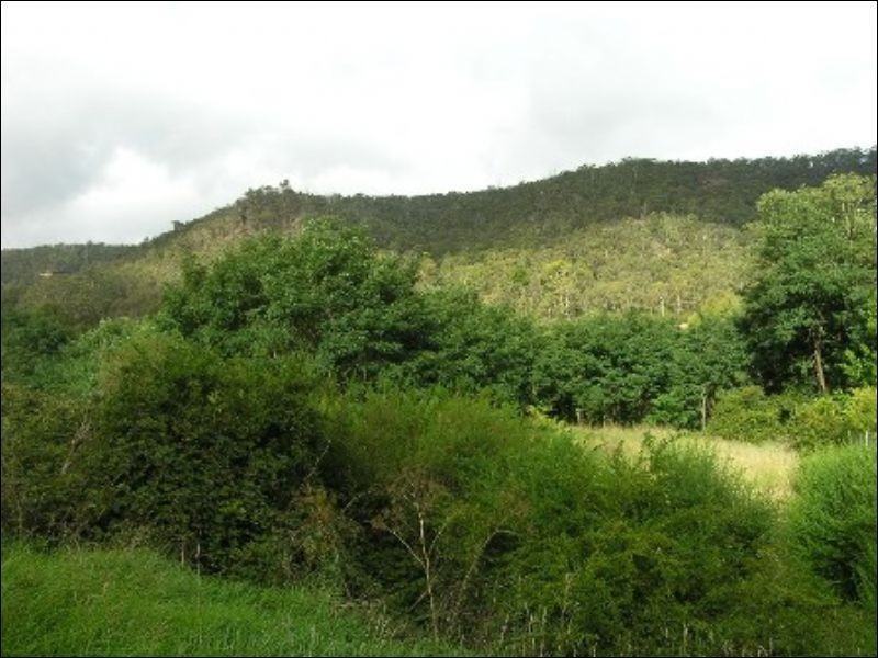 Lot 152 Macauley Street, Lithgow NSW 2790