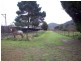 Lithgow NSW 2790