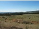 Meadow Flat NSW 2795