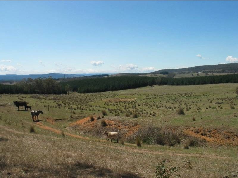 Meadow Flat NSW 2795