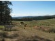 Meadow Flat NSW 2795