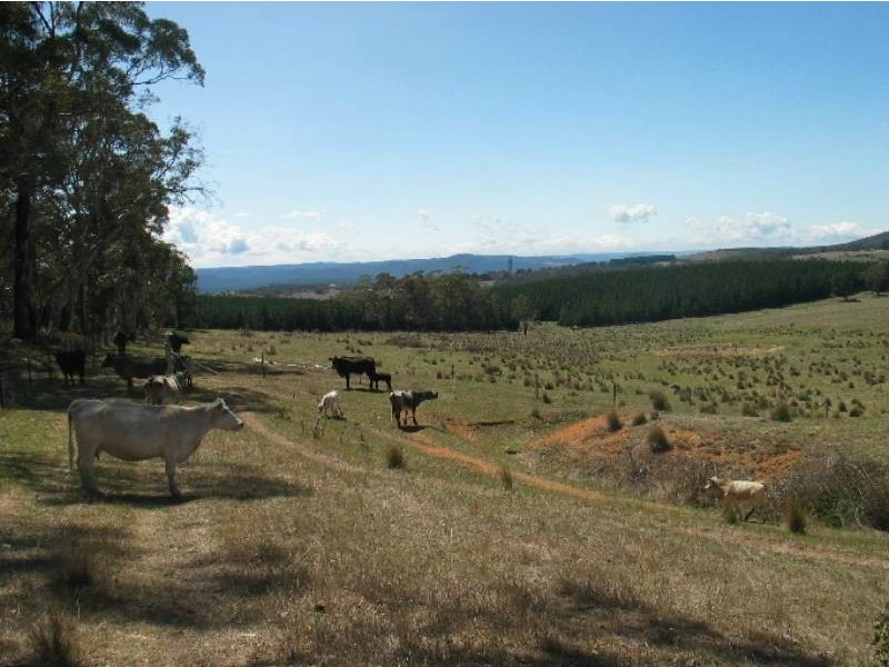 Meadow Flat NSW 2795