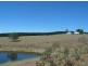 Meadow Flat NSW 2795
