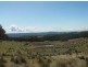 Meadow Flat NSW 2795