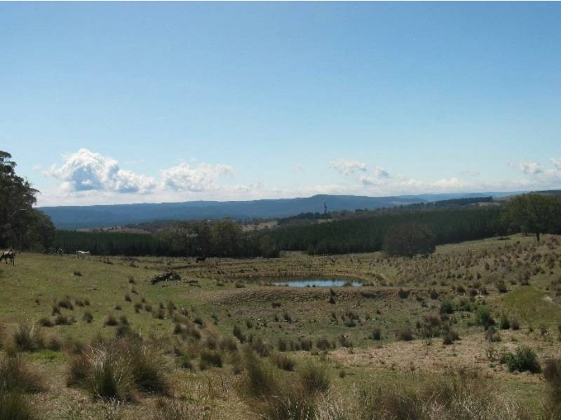 Meadow Flat NSW 2795