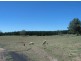 Meadow Flat NSW 2795
