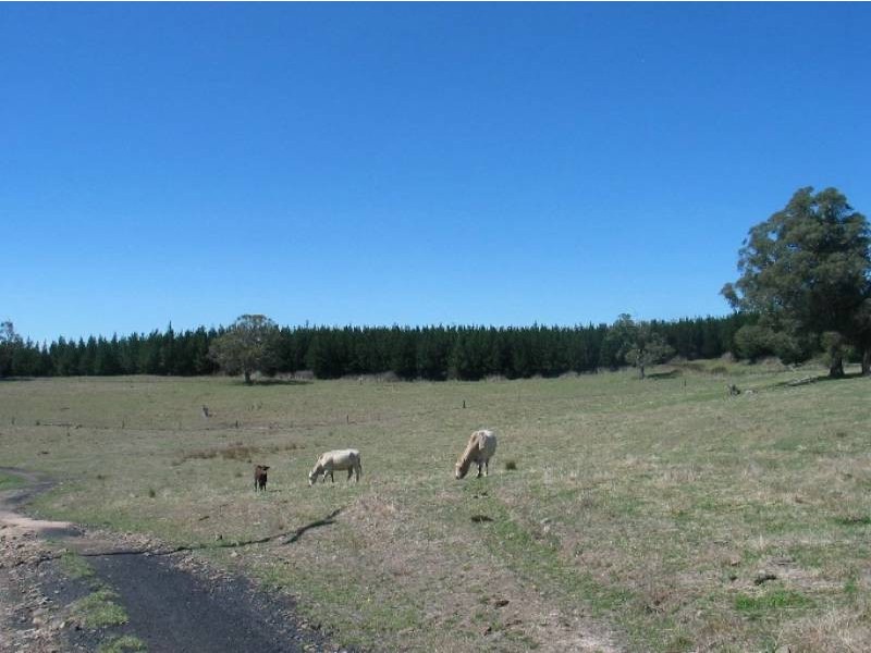 Meadow Flat NSW 2795