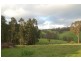Meadow Flat NSW 2795