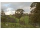 Meadow Flat NSW 2795